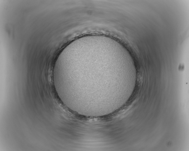 X0000093131490200710241312