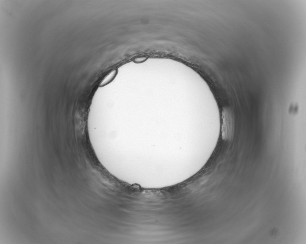 X0000093131491200710241312