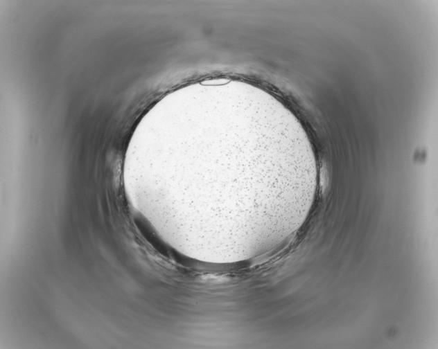 X0000093131492200710241312