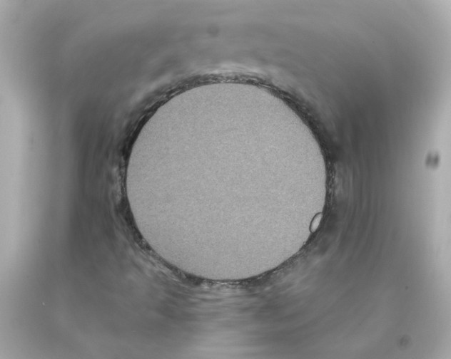 X0000093131493200710241312