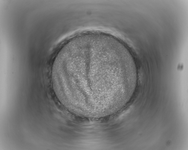 X0000093131494200710241312