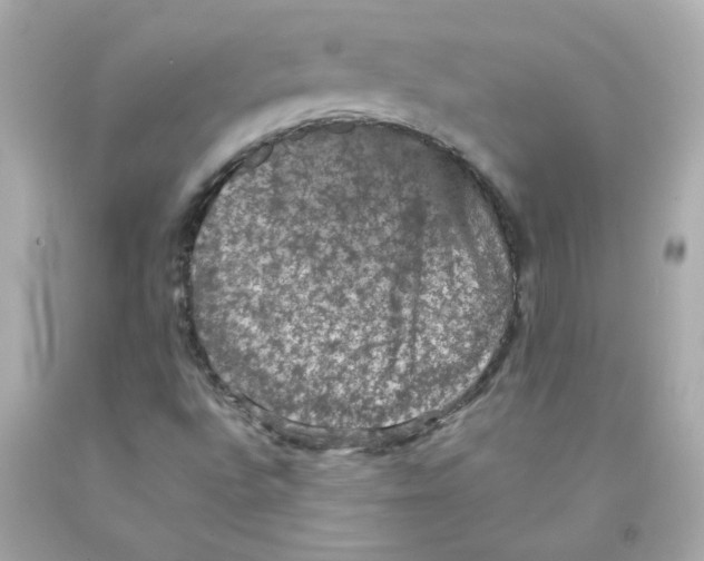 X0000093131496200710241312