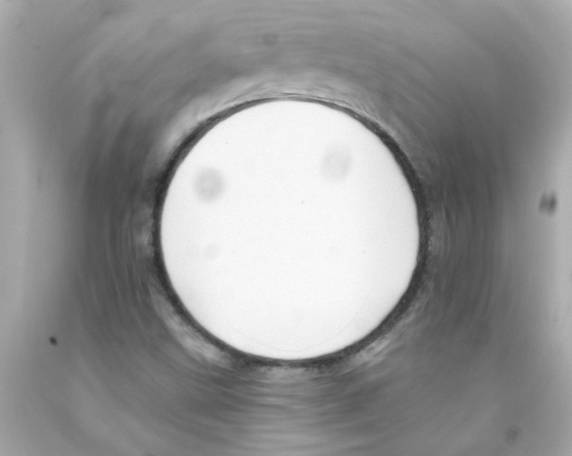 X0000093131499200710241312