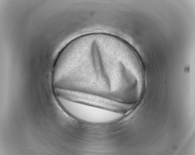 X0000093131500200710241312
