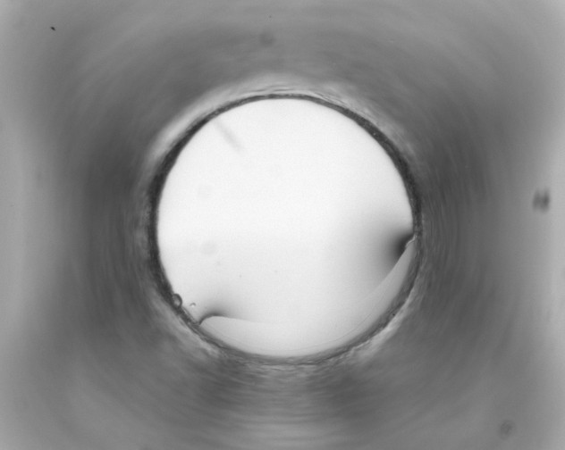 X0000093131502200710241312