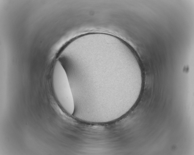 X0000093131503200710241312