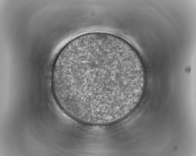 X0000093131504200710241312