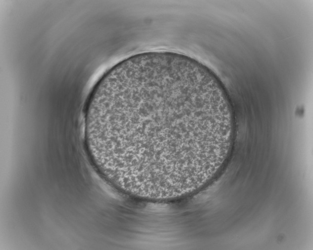 X0000093131509200710241312