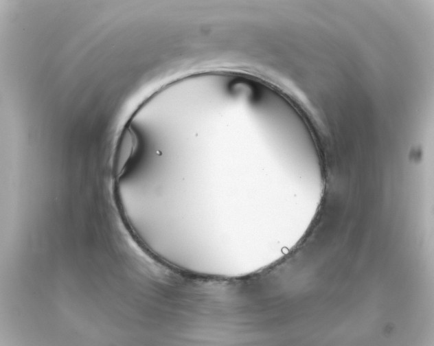 X0000093131512200710241312
