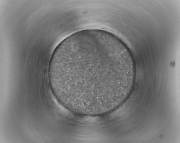 X0000093131513200710241312