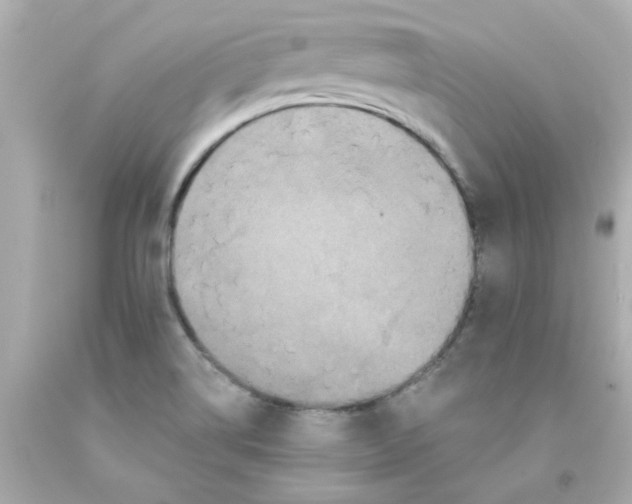 X0000093131514200710241313