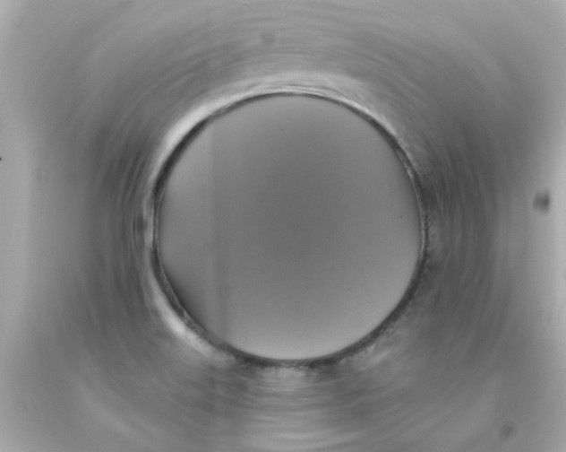X0000093131515200710241313