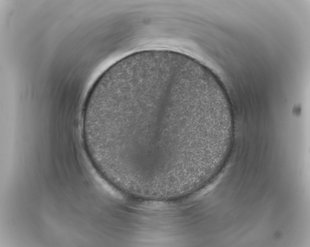 X0000093131517200710241313