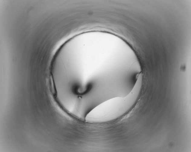 X0000093131518200710241313
