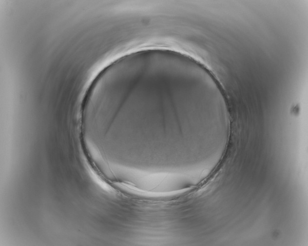X0000093131519200710241313