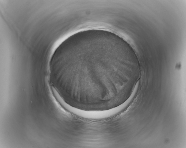 X0000093131520200710241313