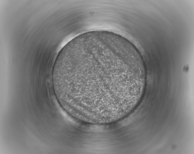 X0000093131521200710241313