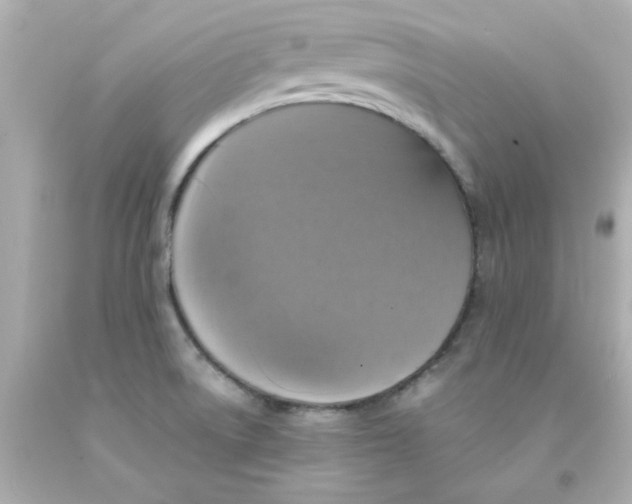 X0000093131522200710241313