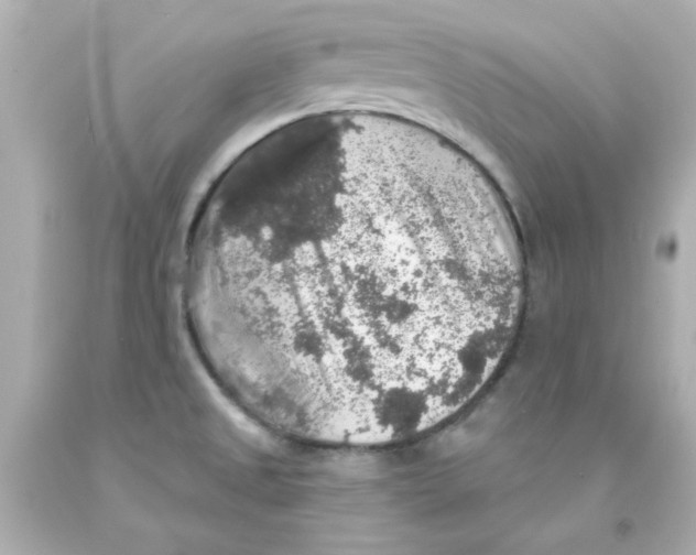 X0000093131525200710241313
