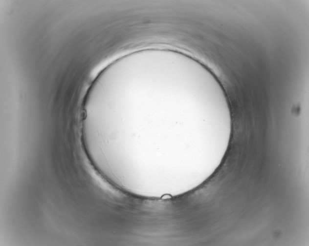 X0000093131526200710241313