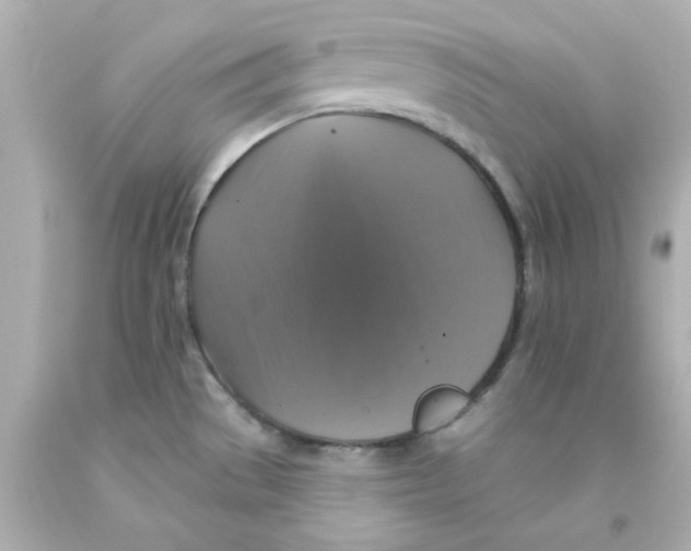 X0000093131529200710241313