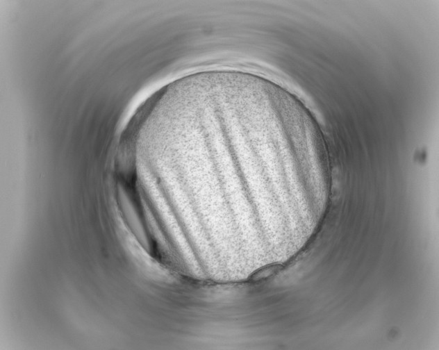 X0000093131530200710241313
