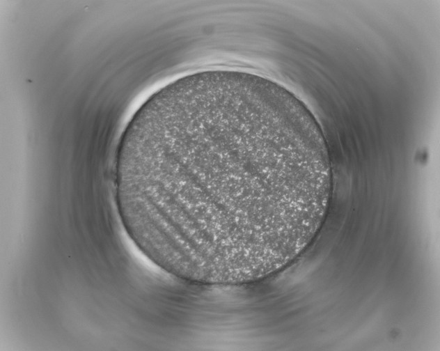 X0000093131531200710241313
