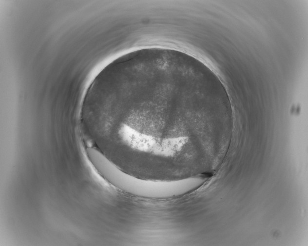X0000093131536200710241313