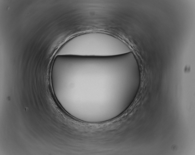 X0000093140002200709261108