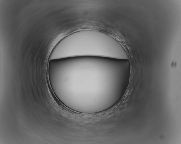X0000093140003200709261108