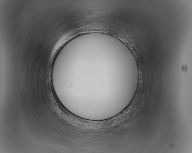 X0000093140004200709261108