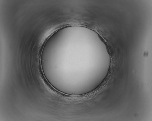 X0000093140005200709261108