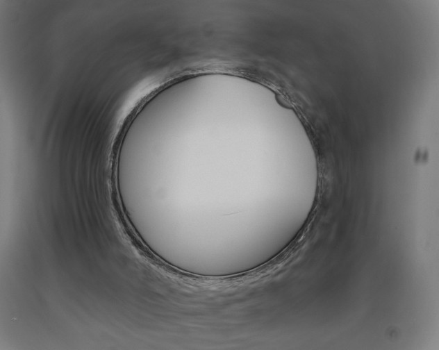 X0000093140006200709261108