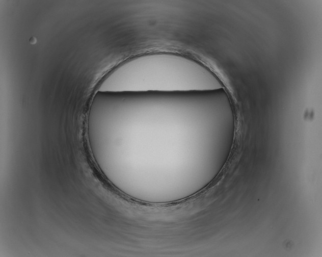 X0000093140010200709261108