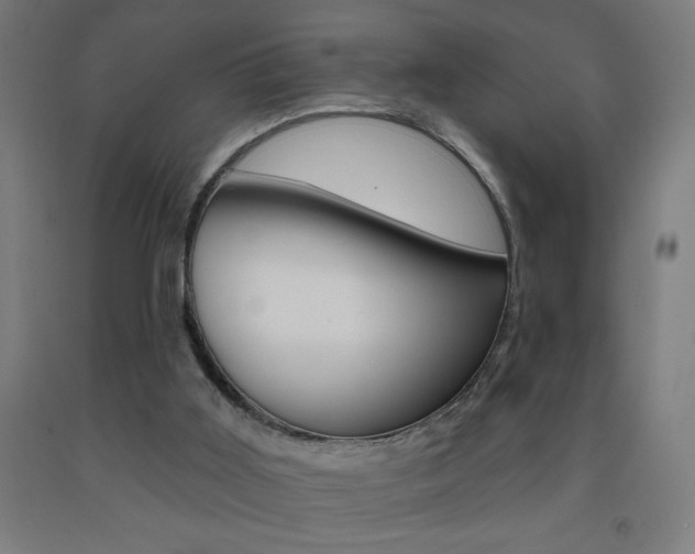 X0000093140011200709261108