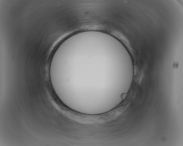 X0000093140012200709261108