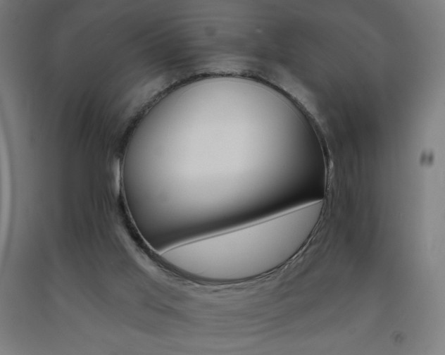 X0000093140013200709261108