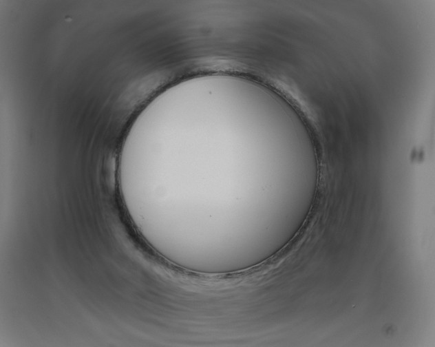 X0000093140014200709261108