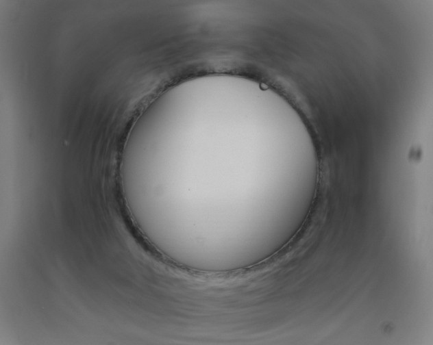 X0000093140018200709261108
