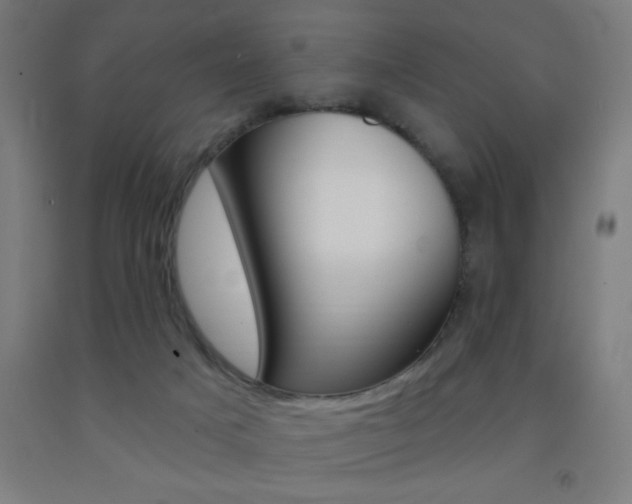 X0000093140025200709261108