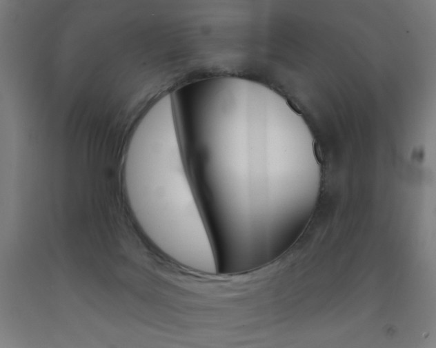 X0000093140027200709261108