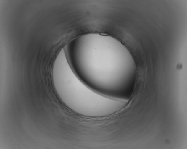 X0000093140029200709261108