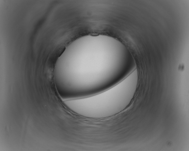 X0000093140033200709261108