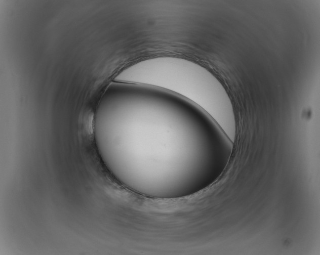 X0000093140041200709261108
