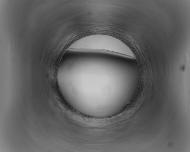 X0000093140044200709261107