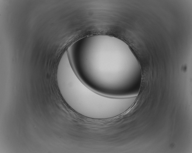 X0000093140045200709261107