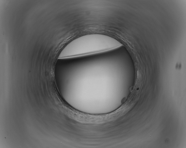 X0000093140048200709261107