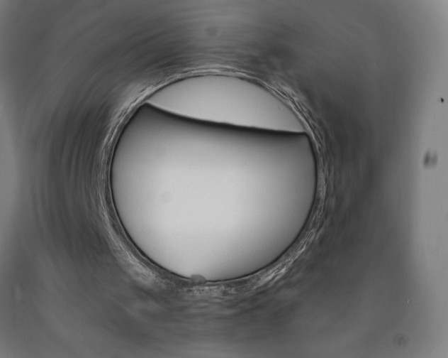 X0000093140049200709261107