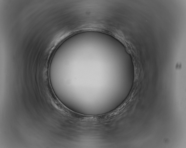 X0000093140050200709261107