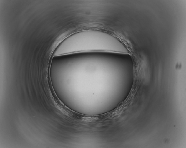 X0000093140051200709261107